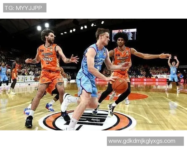 12月6日悉尼国王对阵野猫比赛前瞻及战术分析详解